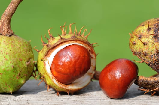 Chestnuts