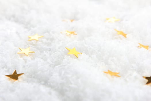 golden poinsettias on artificial snow