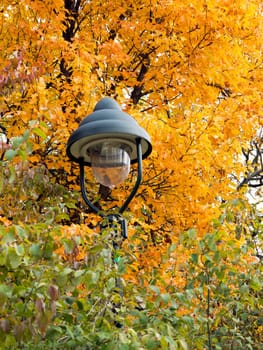 Detail of the lamp in the autumn leaves