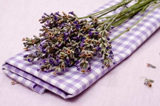 Flowers of purple lavender on a cloth with checks