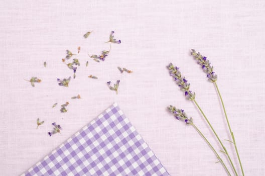 Flowers of lavender on a cloth