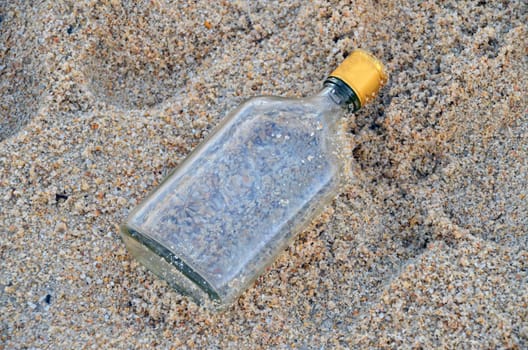 Beach fundus