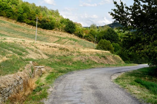 country road in Emilia Romagna