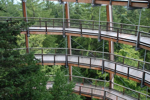 Treetop Walk Bavarian Forest Freyung-Grafenau Park National Park