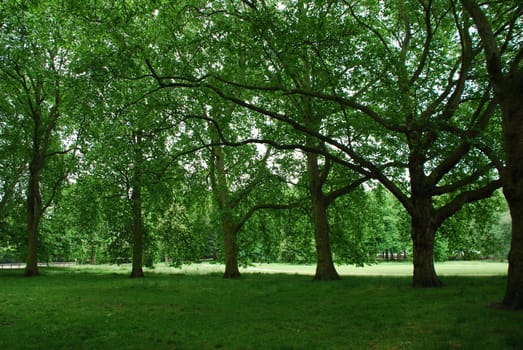 Hyde Park London
