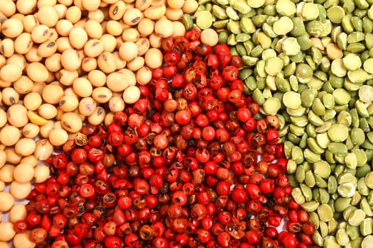 Variety of spices.