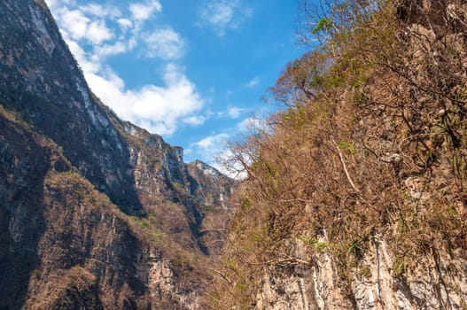 Walls of Sumidero Canyon in Chiapas, Mexico