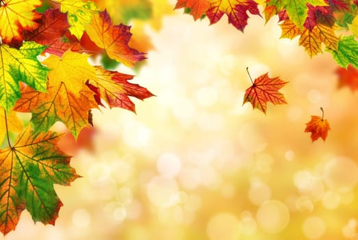 Autumn background with colorful foliage in the foreground and blur in the background