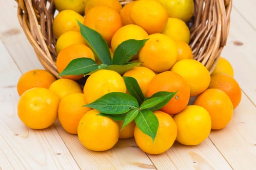 fresh tangerines on the table
