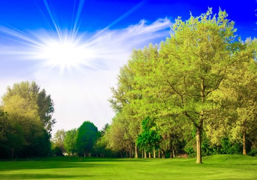 Green field and trees. Summer landscape with green grass. Beautiful  landscape