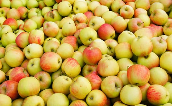 Apples without (New York)
