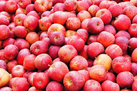 Apples without (New York)