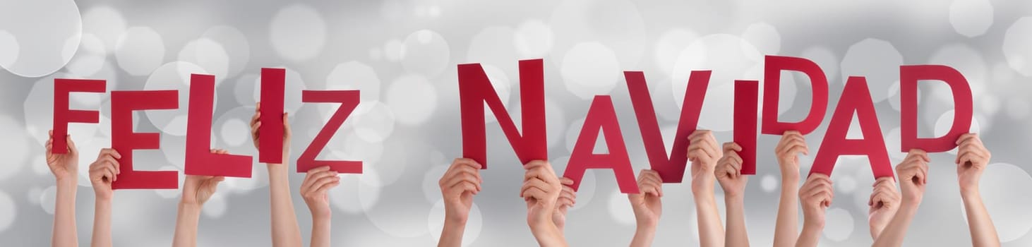 Many People Holding the Spanish Words Feliz Navidad Which Means Merry Christmas on a Festive Background