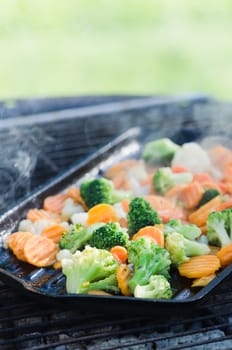 Vegetables fried on coals, close up
