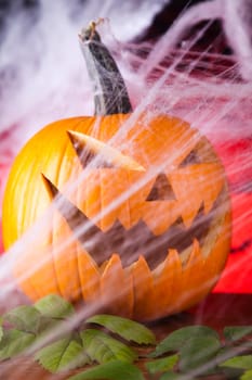 Spider web, Halloween pumpkin Jack