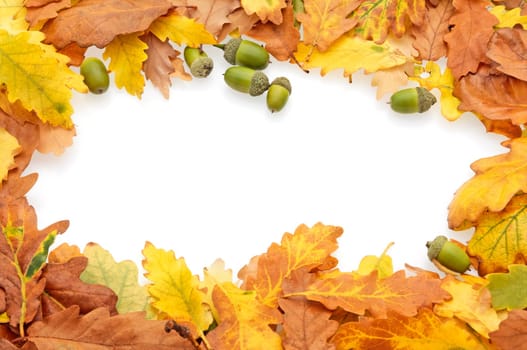 A border of gold, orange, brown and green oak leaves and acorns against a white background
