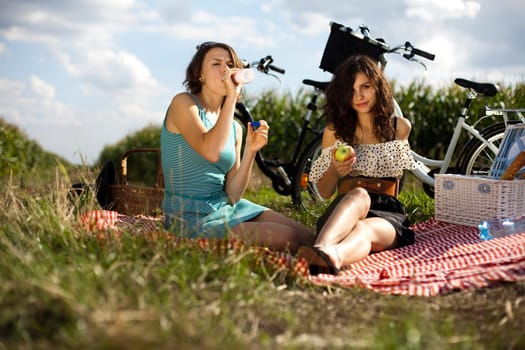 Friends Enjoying Picnic