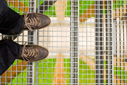 Fear of heights on observation deck