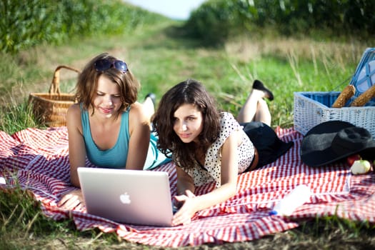 Friends Enjoying Picnic