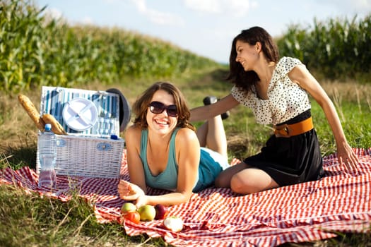 Friends Enjoying Picnic