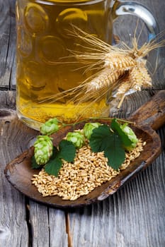Cool beer in a glass,hop cones,ears of corn and grain on a wooden shovel on an old rustic wooden table