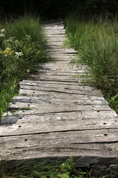 Plank path through a moor