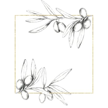 A pencil drawing clipart with olive branches arranged diagonally in a square frame, accented with golden outlines. Suitable for beauty product labels, elegant packaging, and menu designs