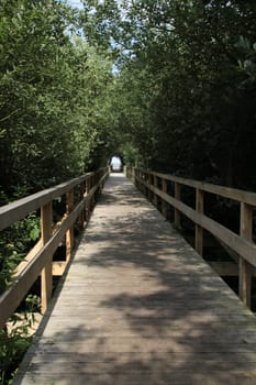 Corduroy road