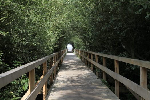 Corduroy road