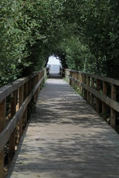 Corduroy road