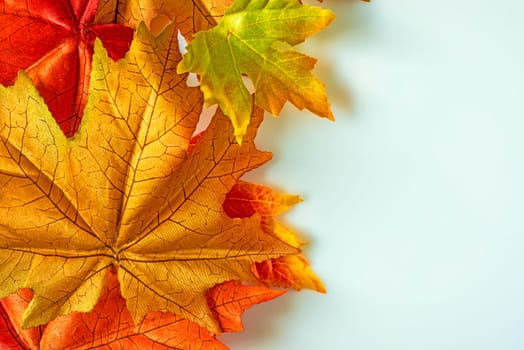 Leaves fall
