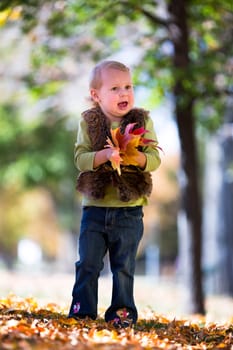 cute little girl with autumn leaves