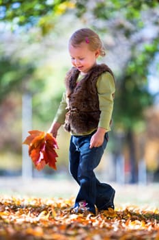 cute little girl with autumn leaves