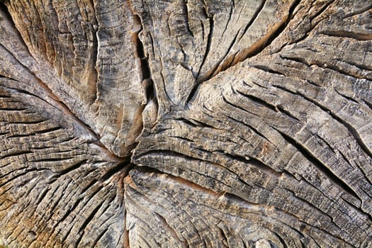 Wood structure