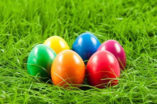 Easter eggs in Fresh Green Grass .