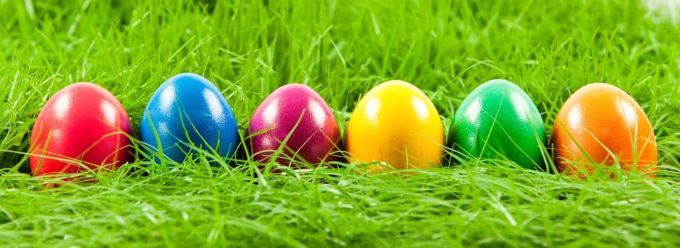 Easter eggs in Fresh Green Grass .