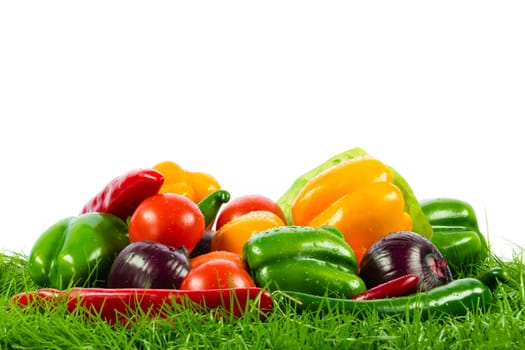 Fresh vegetable isolated on white background.  Healthy Eating. Seasonal organic raw vegetables.