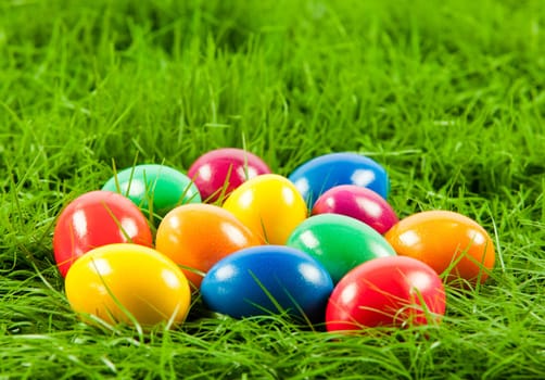 Easter eggs in Fresh Green Grass .
