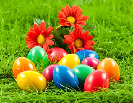 Easter eggs in Fresh Green Grass .