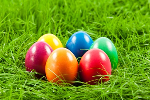 Easter eggs in Fresh Green Grass .