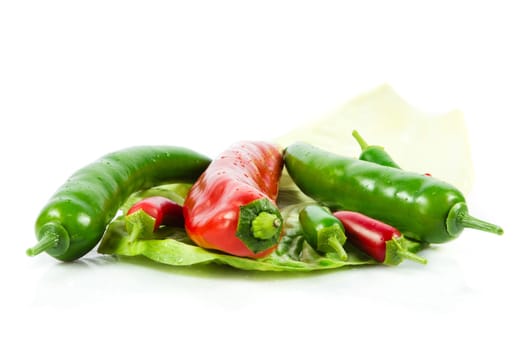 chili pepper