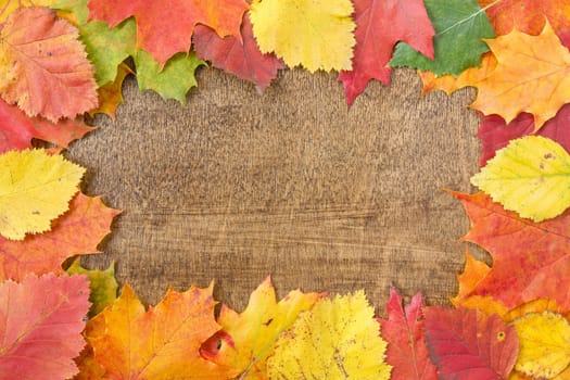 Autumn leaves over wooden background.With copy space