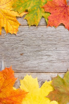 Background with wooden planks and  autumn leaves