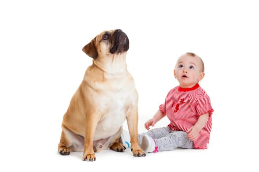 little girl with the big dog. Baby girl and her best friend.