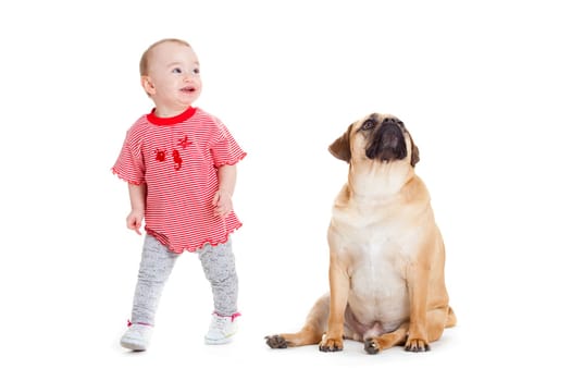 little girl with the big dog. Baby girl and her best friend.