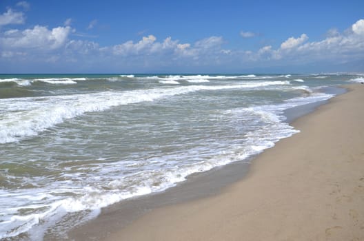 Restless sea on sandy beach Marina di Vecchiano nearby Pisa, Tuscany in Italy