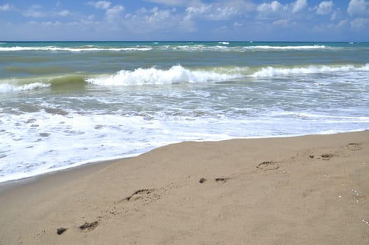 Restless sea on sandy beach Marina di Vecchiano nearby Pisa, Tuscany in Italy