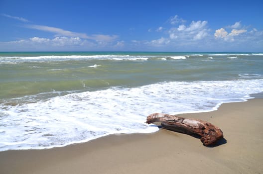 Restless sea on sandy beach Marina di Vecchiano nearby Pisa, Tuscany in Italy