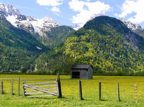 Alpine Mountains Background