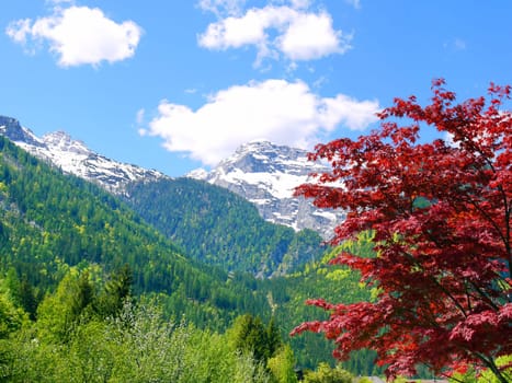 Mountains Alps Austria
